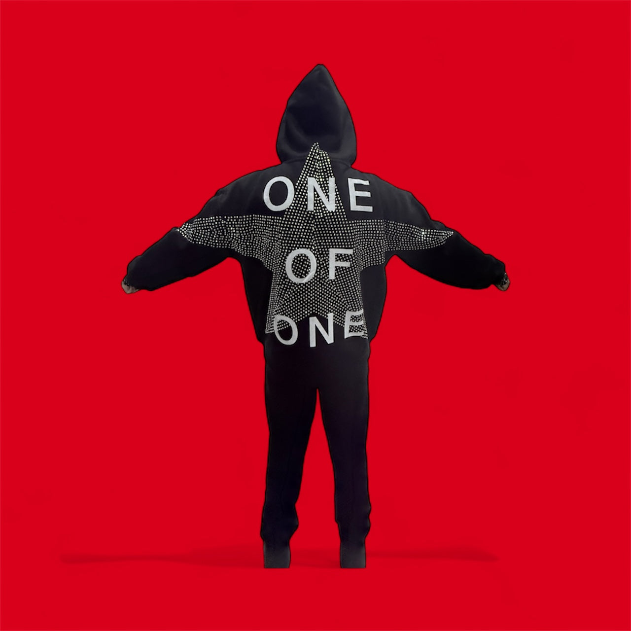 “ONE OF ONE” Rhinestone Hoodie – Rare Collection